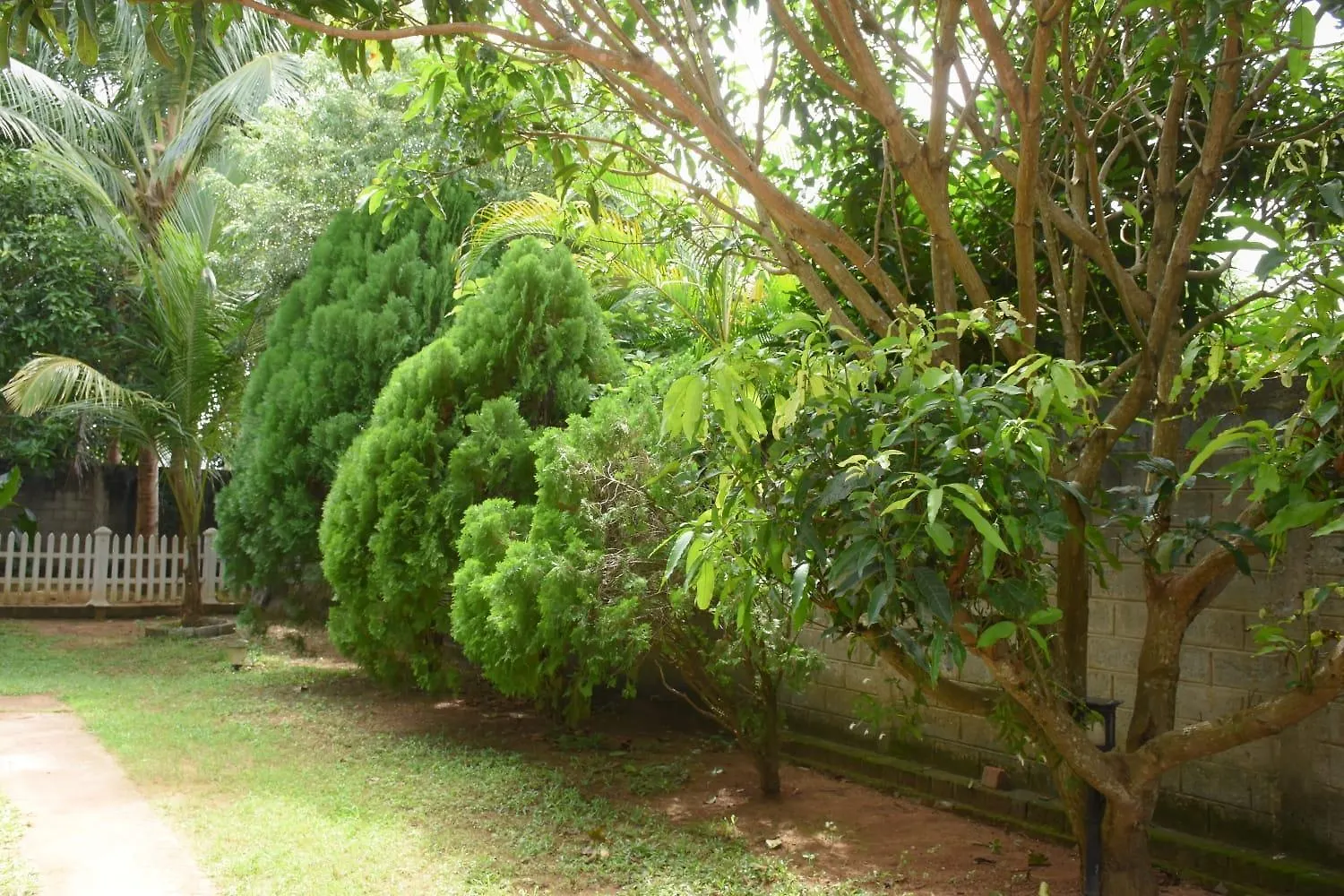 Goodlife Villa Negombo Bed & Breakfast